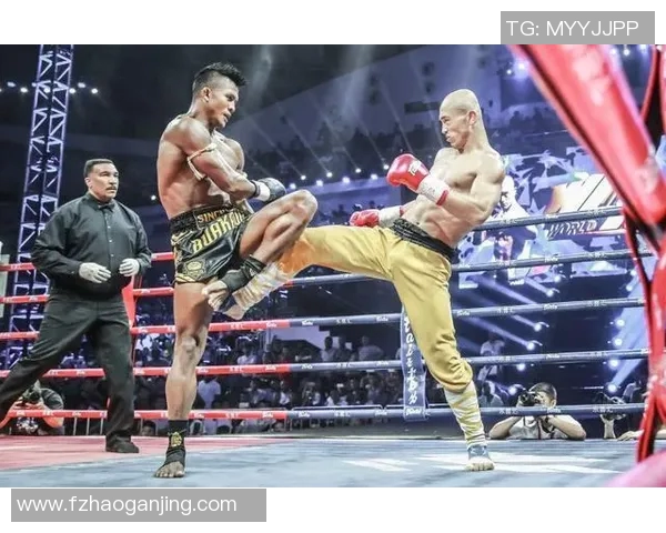 一龙与徐琰巅峰对决谁能称霸武林引发热议